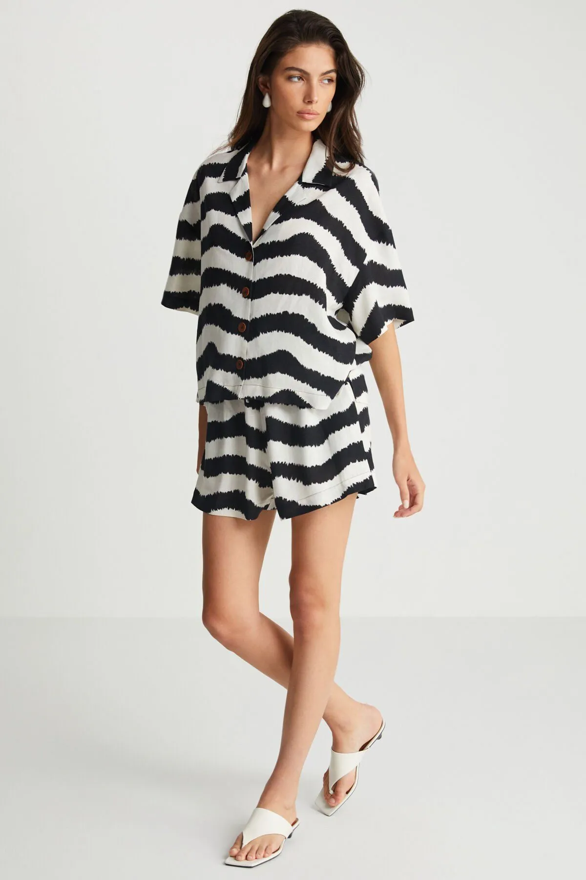 Zebra Print Multicolor Shorts
